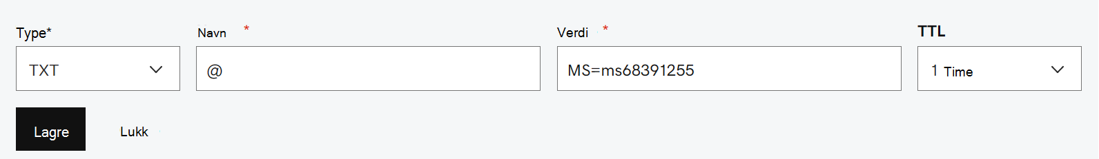 Fyll ut verdiene fra tabellen for TXT-posten for domenebekreftelse.