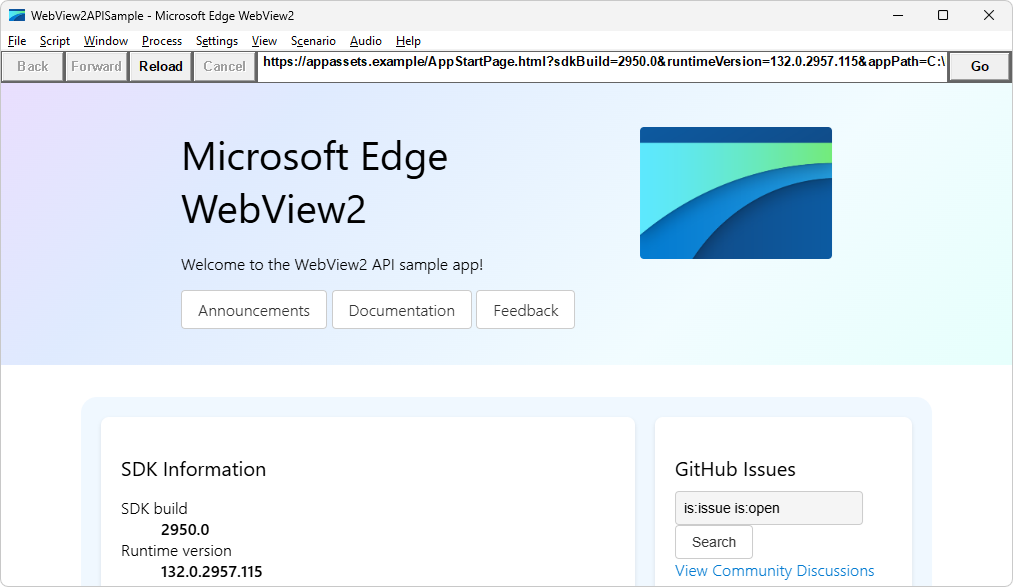 WebView2APISample app window showing WebView2 SDK version and WebView2 Runtime version and path