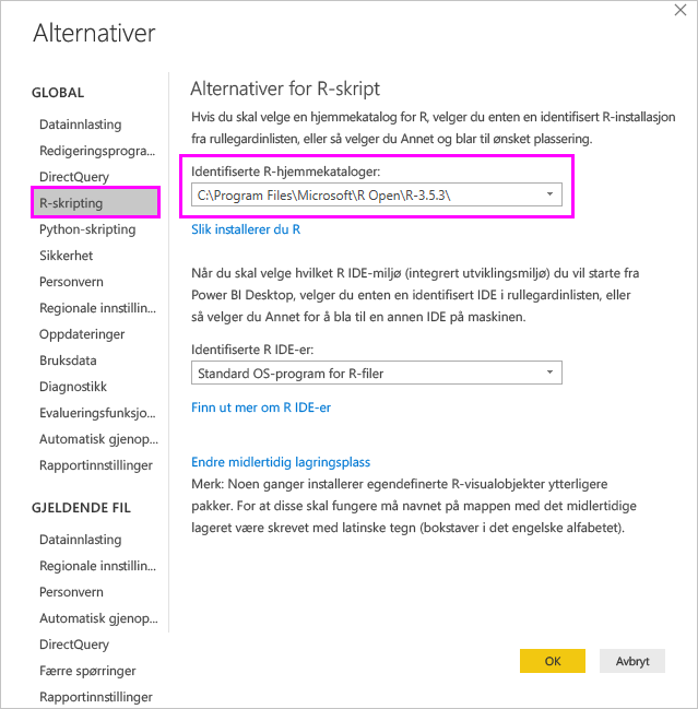 Skjermbilde av siden alternativer for R-skript, som uthever oppdagede hjemmekataloger for R.