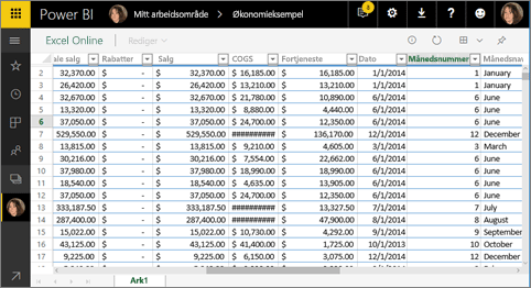 Skjermbilde som viser Excel Online i Power BI.