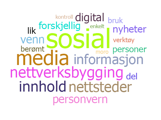 Skjermbilde som viser Word Cloud.