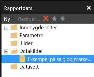 Skjermbilde av rapportdataruten med datasettet oppført under Datakilder.