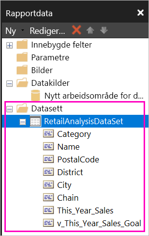 Skjermbilde av feltene som er oppført under datasettet i rapportdataruten.