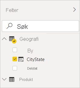 Skjermbilde av Power BI Desktop som viser CityState sjekket inn Geografi-filteret i Felt-visningen.