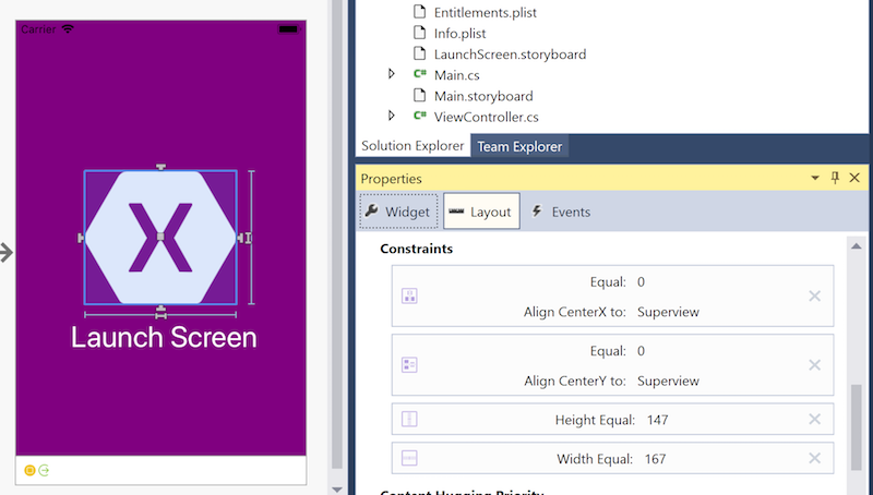 An Image View with layout constraints