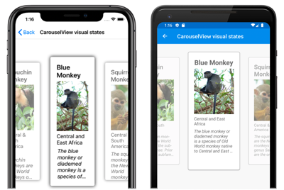 Screenshot of a CarouselView using visual states, on iOS and Android