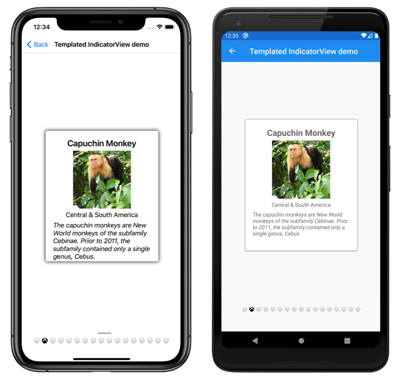 Screenshot of a templated IndicatorView, on iOS and Android