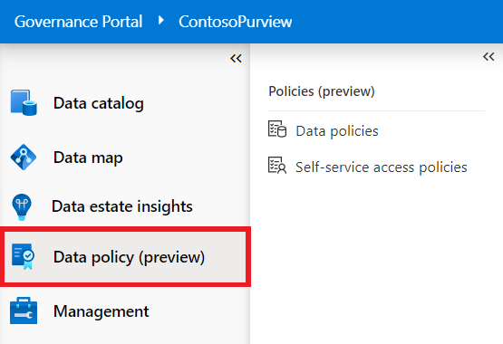 Screenshot of the Microsoft Purview governance portal with the leftmost menu open, and the Data policy page option highlighted.