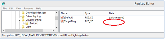 Screenshot showing the removed string value under the partner subkey, within the windows registry editor.