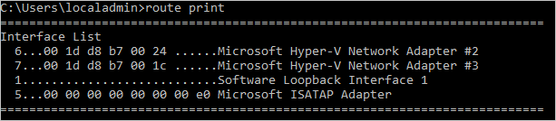 De uitvoer 'route print' is een interfacelijst met twee Hyper-V-netwerkadapters: Interface 6 is Hyper-V-netwerkadapter #2 en Interface 7 is adapter 3.