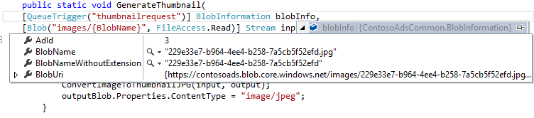 blobInfo-object in foutopsporingsprogramma