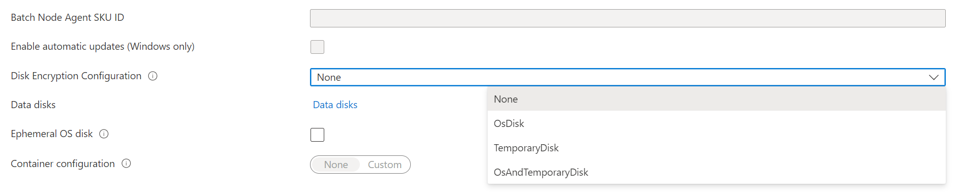 Schermopname van de optie Schijfversleutelingsconfiguratie in Azure Portal.