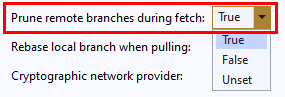 Schermopname van de instelling **Externe vertakkingen prune tijdens ophalen** in Global Instellingen in Team Explorer in Visual Studio 2019.