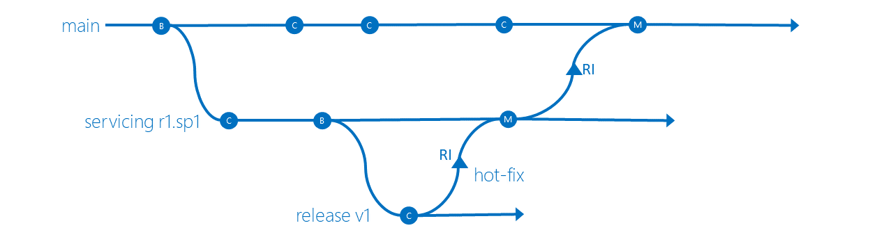 Vertakkingsstrategie voor isolatie van servicerelease