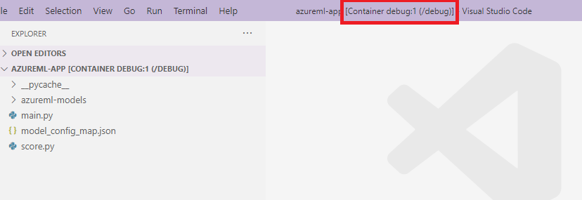 De interface van de container VS Code