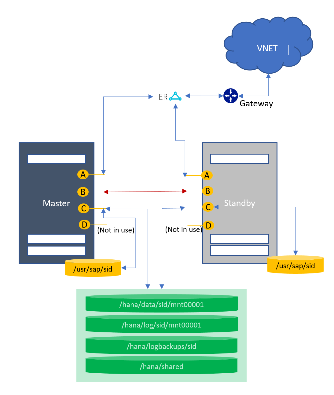 Automatische failover van host (1+1)