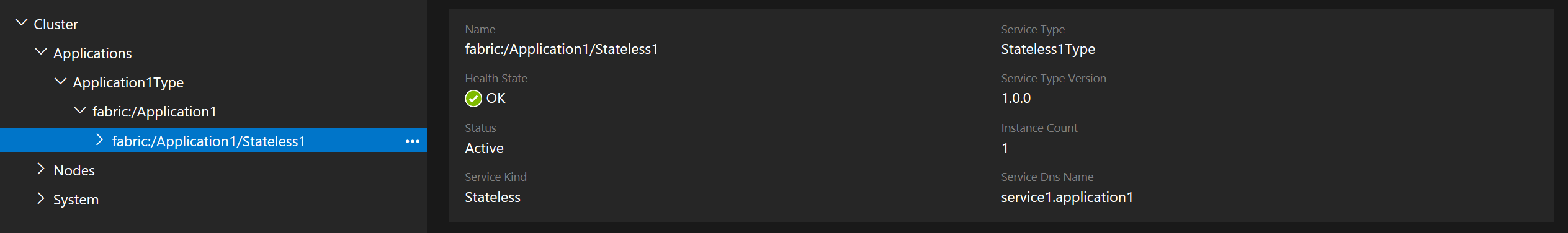 Schermopname van de DNS-naam in Service Fabric Explorer.