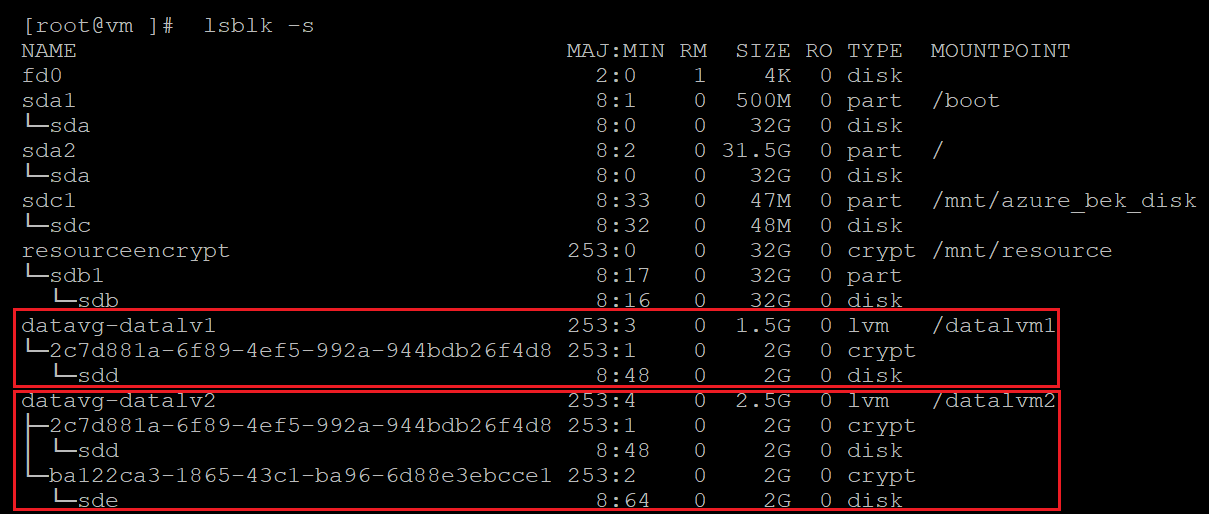 Schermopname van alternatieve code die de versleutelde schijven identificeert met de resultaten gemarkeerd.