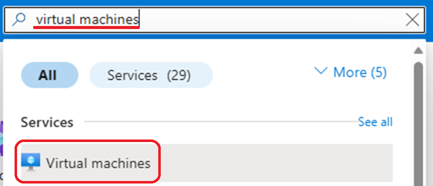 Schermopname van de zoekbalk van Azure Portal.