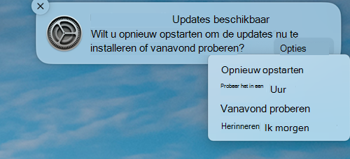 De voorbeeldmelding dat er een update beschikbaar is op een macOS Apple-apparaat.