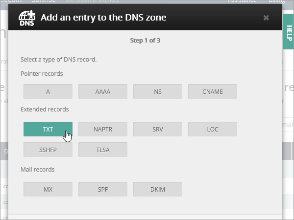 OVH selecteer TXT-vermelding.