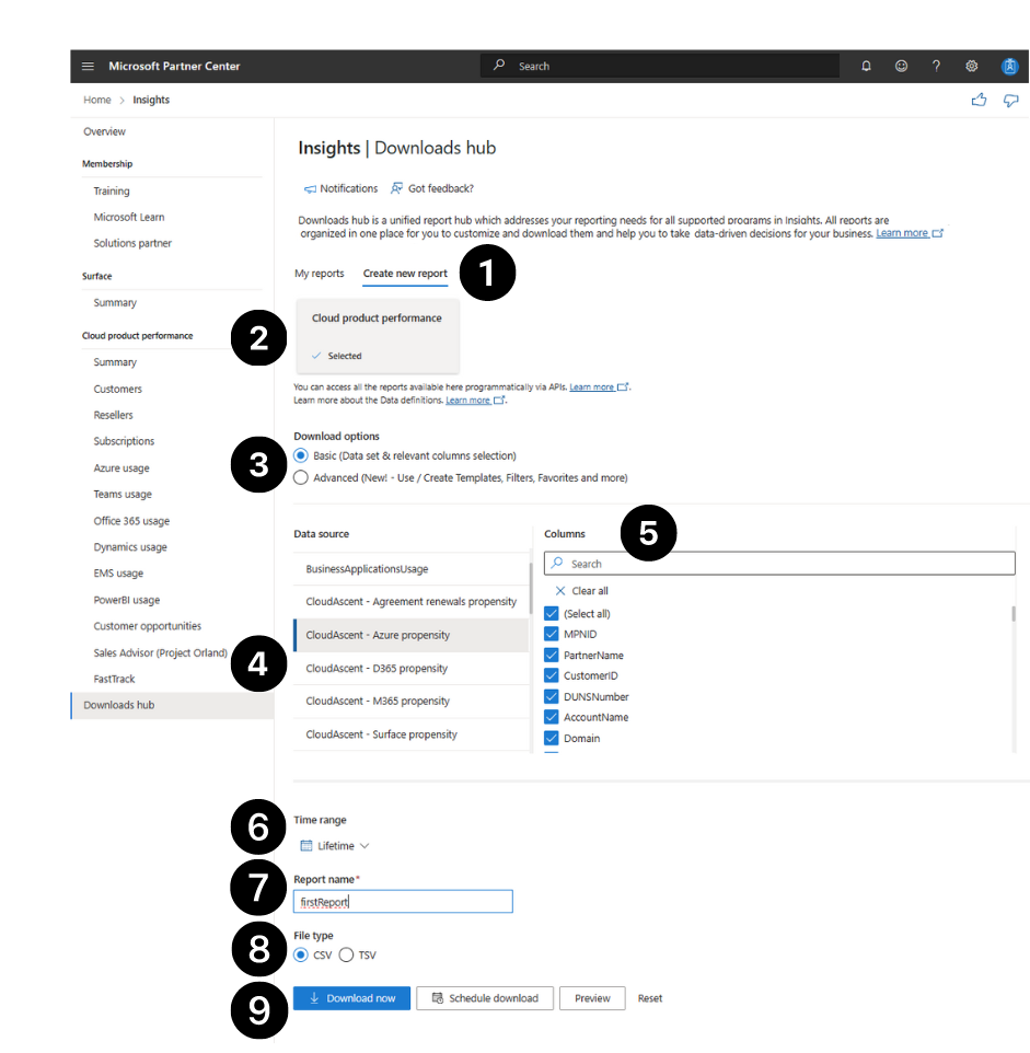 Schermopname van de sectie Downloads hub: Nieuw rapport maken.