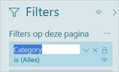 Schermopname van het deelvenster Filters, waarin de filtertitel wordt gemarkeerd.