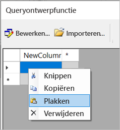 Schermopname van de optie Plakken in de ontwerpfunctie voor query's.