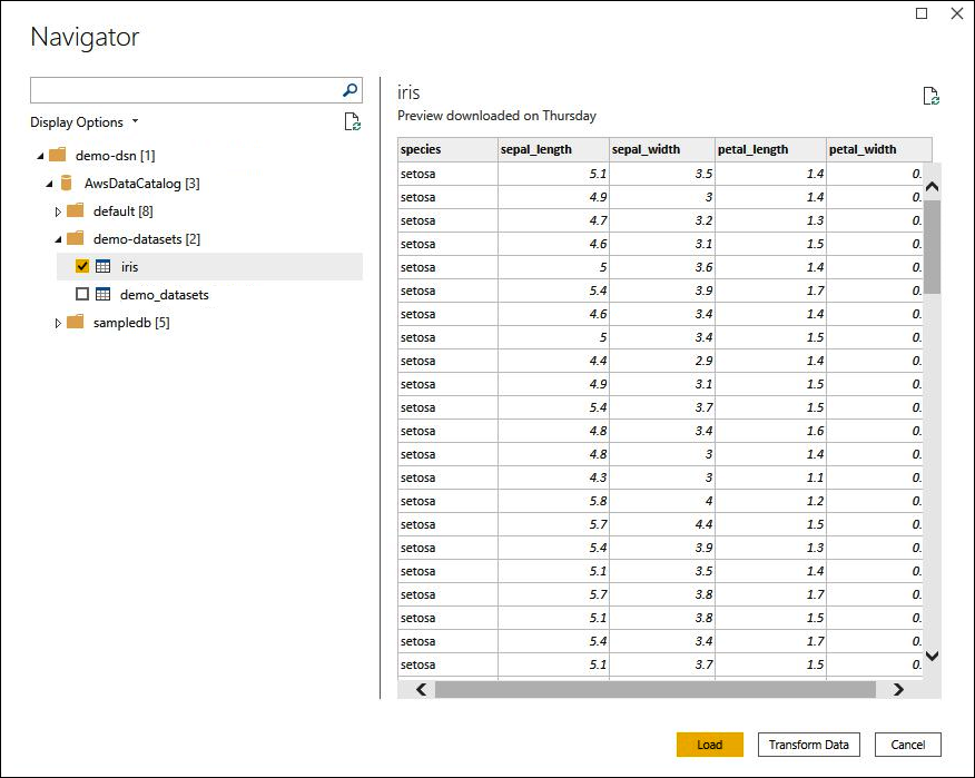 The Navigator dialog box shows your data