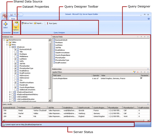 Report Builder Shared Dataset Design View