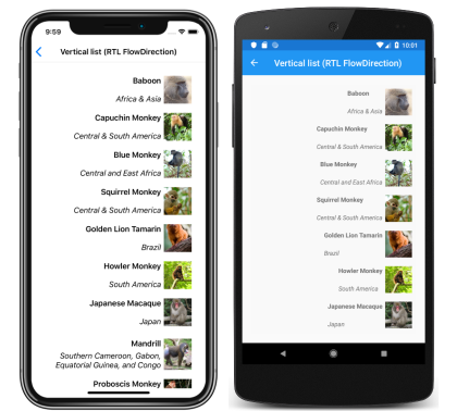 Screenshot of a CollectionView right-to-left vertical list layout, on iOS and Android