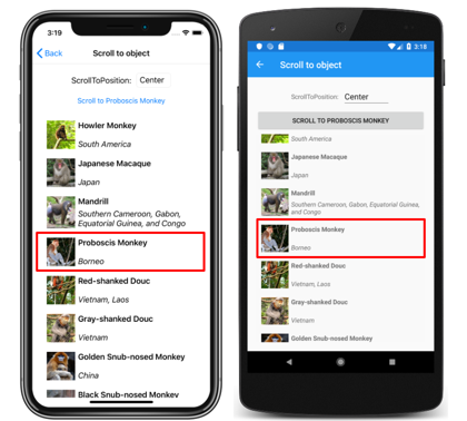 Screenshot of a CollectionView vertical list with ScrollToPosition.Center, on iOS and Android
