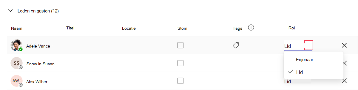 Schermopname van de instellingen van de lidrol in Microsoft Teams.