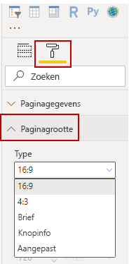 Afbeelding van de opties voor paginaformaat onder het deelvenster Visualisaties.