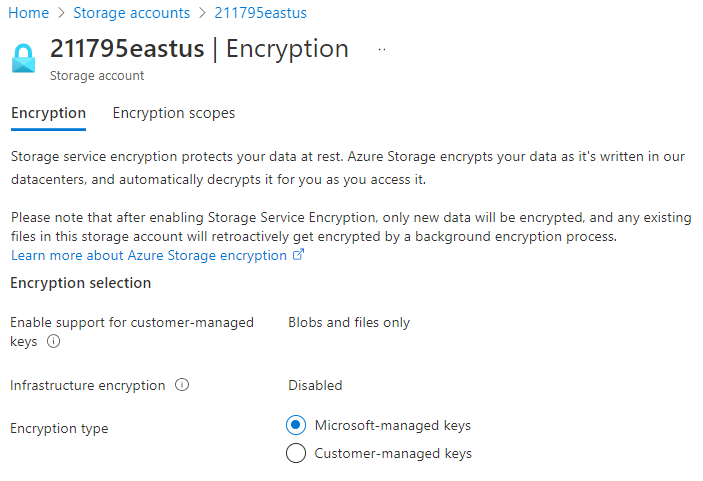 Schermopname van Azure Storage-versleuteling, inclusief sleutels die worden beheerd door Microsoft en door de klant beheerde sleutels.