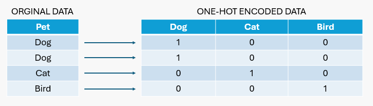 Diagram representing the one-hot encoding process.