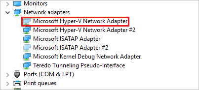 Schermopname van netwerkadapters waarin Microsoft Hyper-V-netwerkadapter grijs wordt weergegeven.