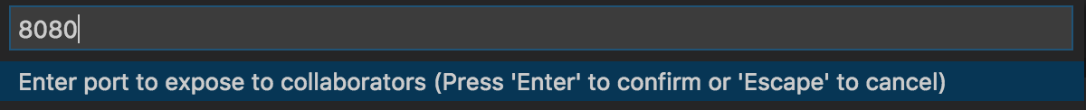 Screenshot that shows the port number prompt.