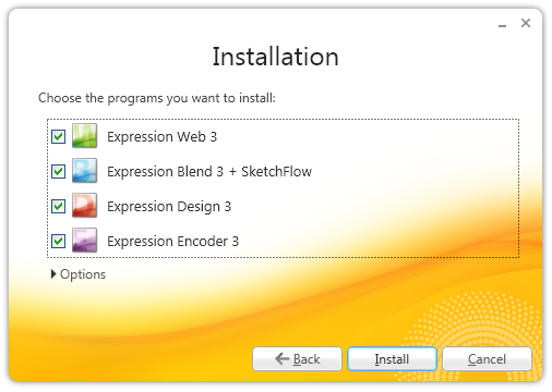 Screenshot that shows a setup dialog box with four options.