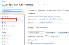 Zrzut ekranu przedstawiający stronę grupy zasobów z lokalizacją elementu menu Kontrola dostępu (IAM).