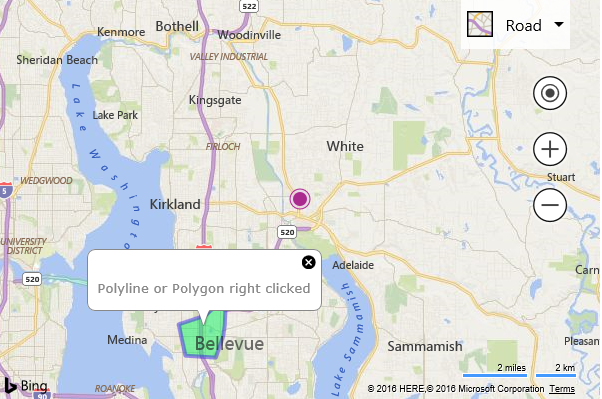 Screenshot of a Bing map that shows a polygon on top of a portion of Bellevue, Washington, and an infobox for the polygon.