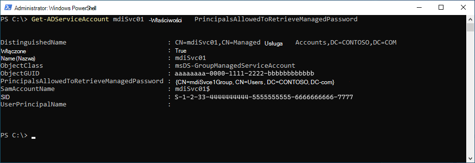 Wyniki programu PowerShell.