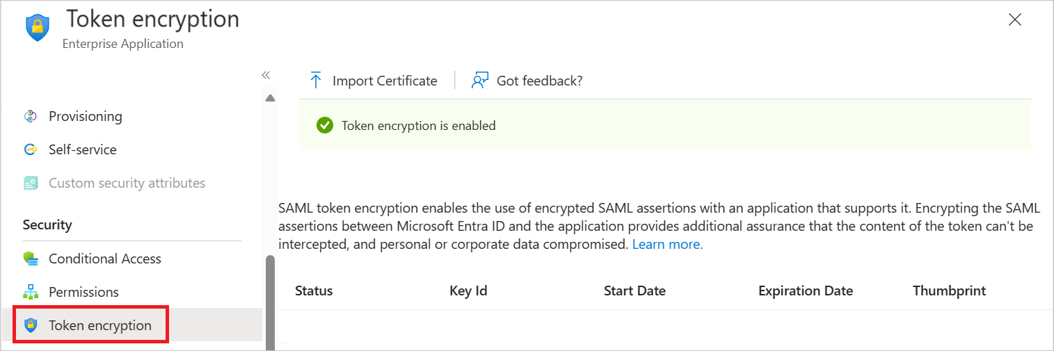 Screenshot shows the activation of Token Encryption.