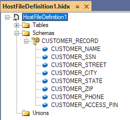 Screenshot shows the metadata artifact view in HIS Designer for a host file.