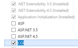 Screenshot shows the Server Roles page highlighting the C G I checkbox.