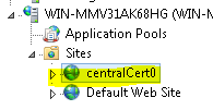 Screenshot of the I I S Manager navigation tree. Under Sites, central Cert zero is highlighted.