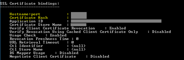 Screenshot of a command line window. The window shows the new S S L binding type. The S S L binding is host name colon port.