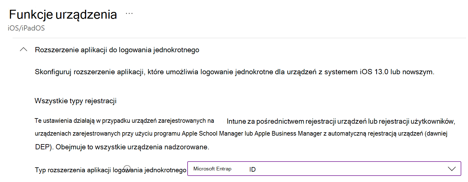 Zrzut ekranu przedstawiający typ rozszerzenia aplikacji logowania jednokrotnego i Tożsamość Microsoft Entra dla systemu iOS/iPadOS w Intune.