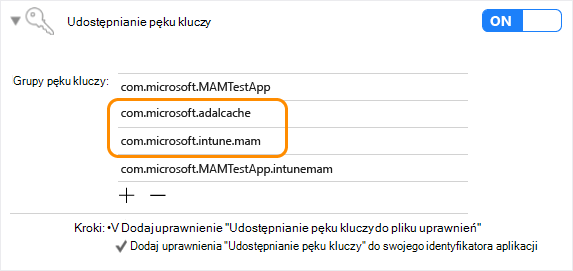 Intune Zestaw SDK aplikacji dla systemu iOS: udostępnianie łańcucha kluczy