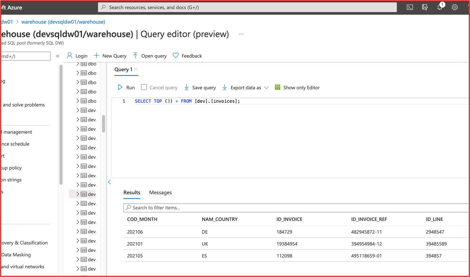 screenshot shows the same query from the Development Database, showing different records.